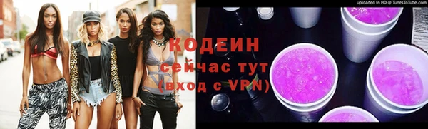 твердый Бородино