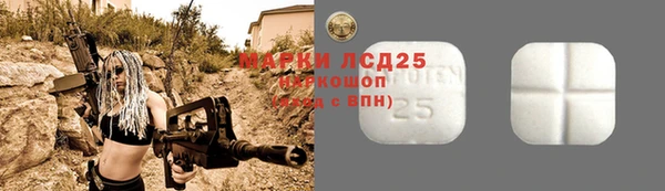 шишки Бронницы