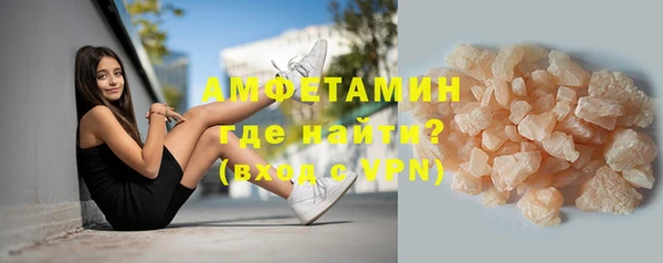 твердый Бородино