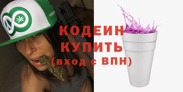 твердый Бородино
