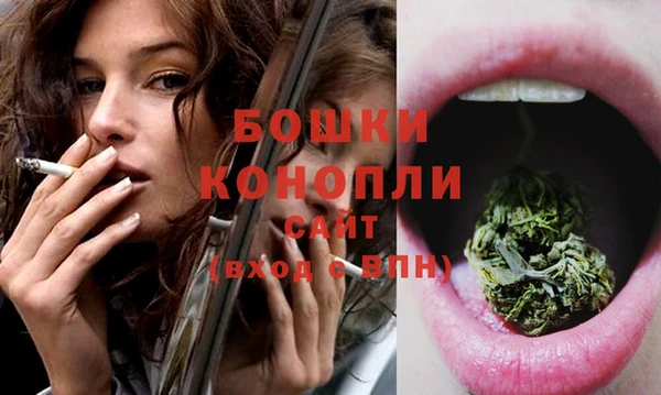 шишки Бронницы