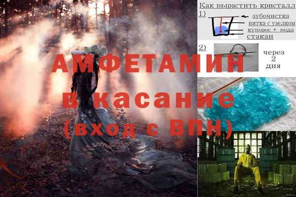 твердый Бородино