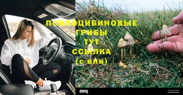 твердый Бородино