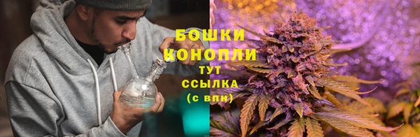 шишки Бронницы
