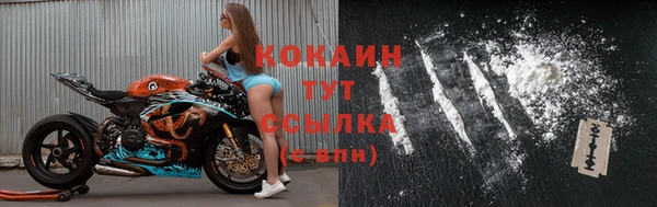 твердый Бородино