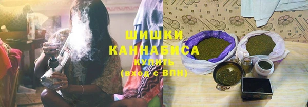 шишки Бронницы