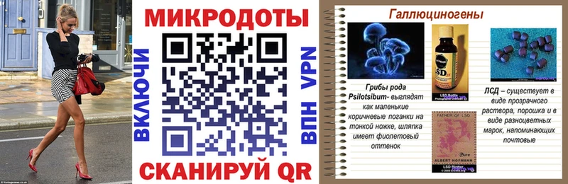 blacksprut как зайти  Калтан  Псилоцибиновые грибы Psilocybe 